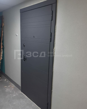Красивая металлическая дверь крашенная под бетон (графит)